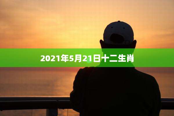 2021年5月21日十二生肖