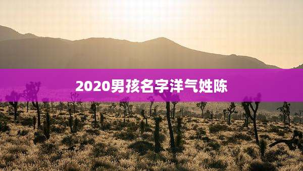 2020男孩名字洋气姓陈