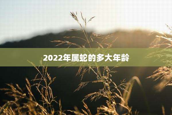 2022年属蛇的多大年龄