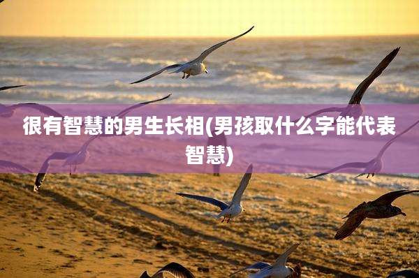 很有智慧的男生长相(男孩取什么字能代表智慧)