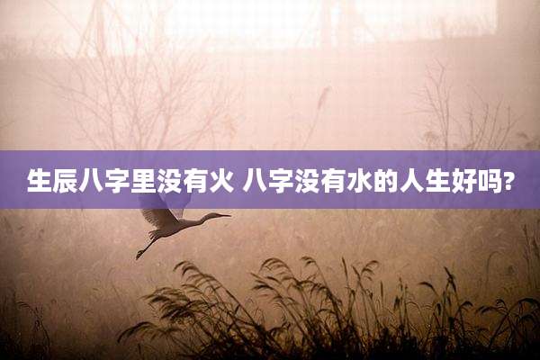 生辰八字里没有火 八字没有水的人生好吗?