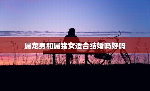 属龙男和属猪女适合结婚吗好吗
