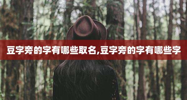 豆字旁的字有哪些取名,豆字旁的字有哪些字