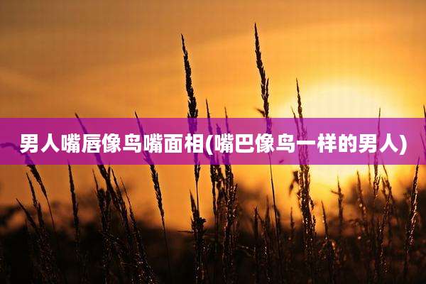 男人嘴唇像鸟嘴面相(嘴巴像鸟一样的男人)