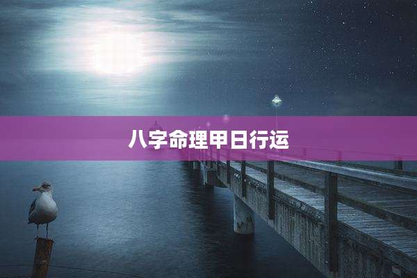 八字命理甲日行运