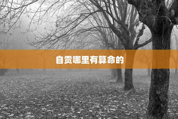 自贡哪里有算命的