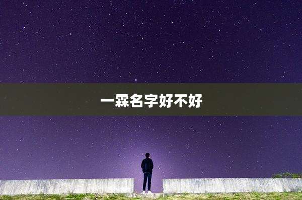 一霖名字好不好