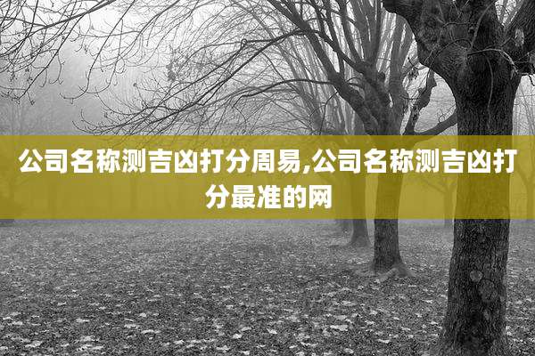 公司名称测吉凶打分周易,公司名称测吉凶打分最准的网