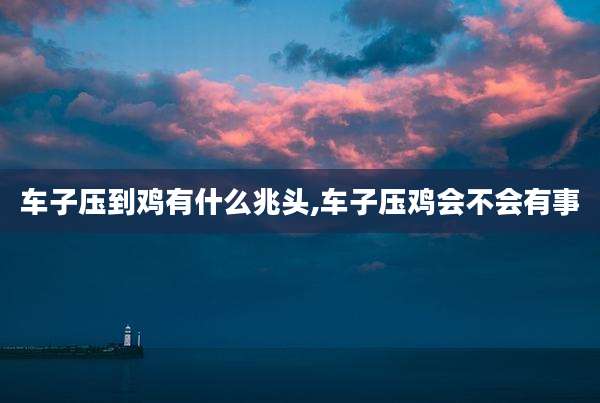 车子压到鸡有什么兆头,车子压鸡会不会有事