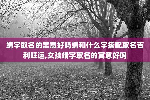 靖字取名的寓意好吗靖和什么字搭配取名吉利旺运,女孩靖字取名的寓意好吗