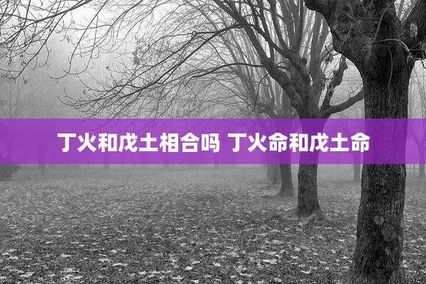 丁火和戊土相合吗 丁火命和戊土命