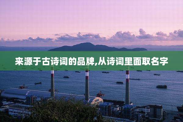 来源于古诗词的品牌,从诗词里面取名字