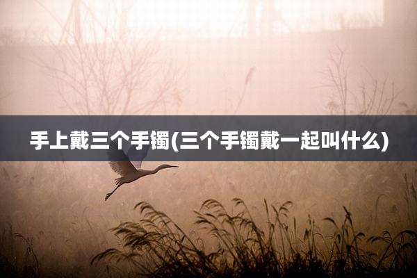 手上戴三个手镯(三个手镯戴一起叫什么)