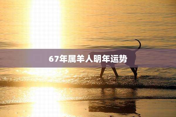 67年属羊人明年运势