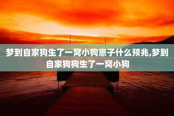 梦到自家狗生了一窝小狗崽子什么预兆,梦到自家狗狗生了一窝小狗