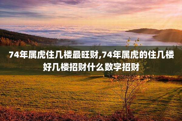 74年属虎住几楼最旺财,74年属虎的住几楼好几楼招财什么数字招财