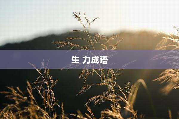 生 力成语