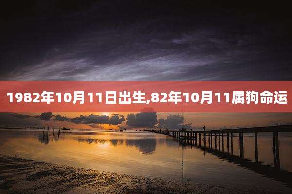 1982年10月11日出生,82年10月11属狗命运
