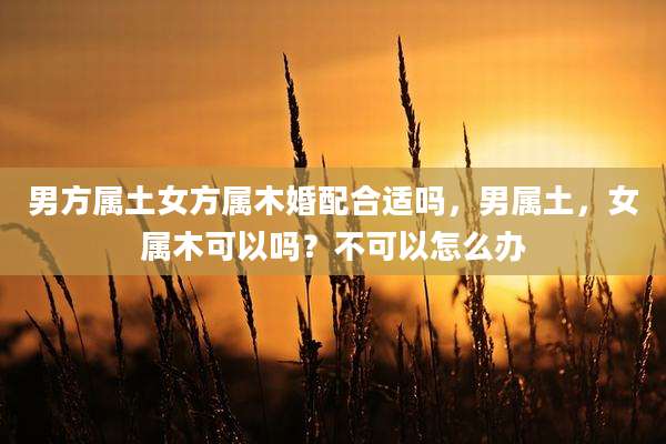 男方属土女方属木婚配合适吗，男属土，女属木可以吗？不可以怎么办