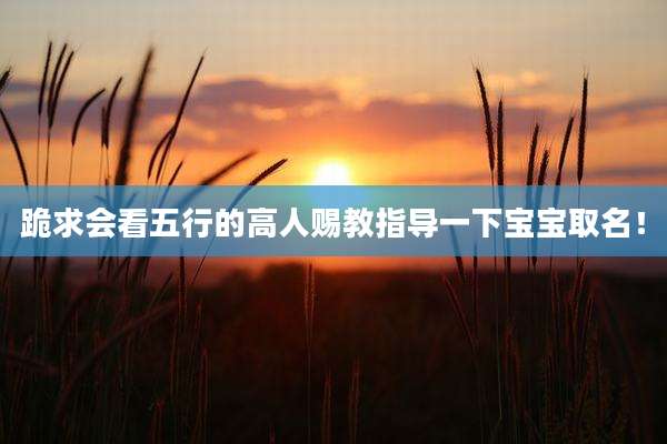 跪求会看五行的高人赐教指导一下宝宝取名！