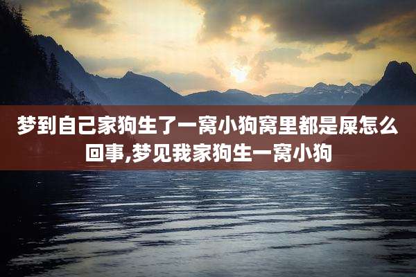 梦到自己家狗生了一窝小狗窝里都是屎怎么回事,梦见我家狗生一窝小狗