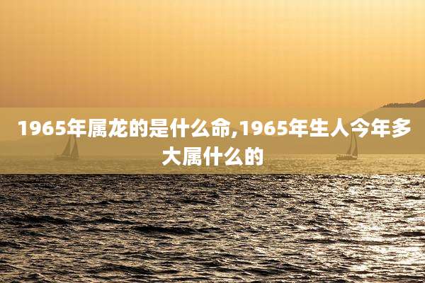 1965年属龙的是什么命,1965年生人今年多大属什么的