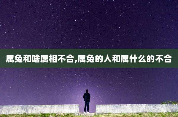 属兔和啥属相不合,属兔的人和属什么的不合