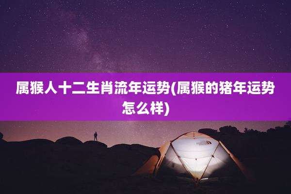 属猴人十二生肖流年运势(属猴的猪年运势怎么样)