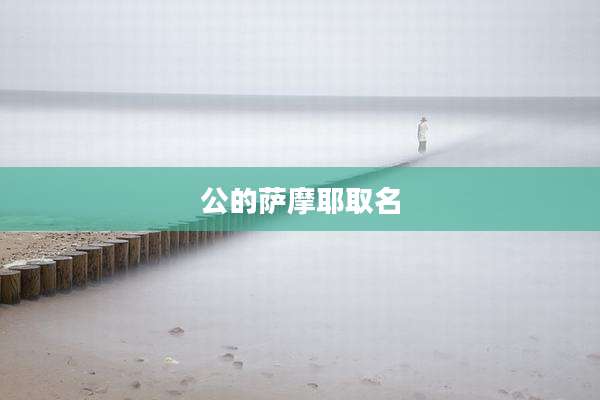 公的萨摩耶取名
