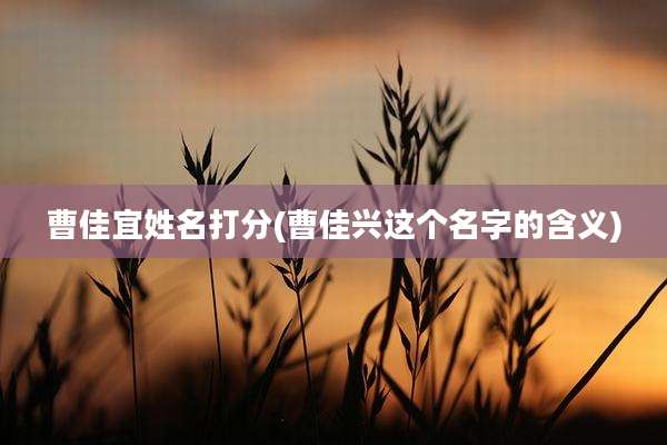 曹佳宜姓名打分(曹佳兴这个名字的含义)