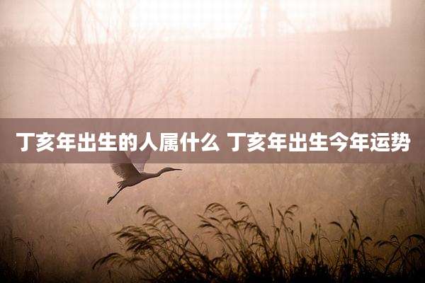 丁亥年出生的人属什么 丁亥年出生今年运势