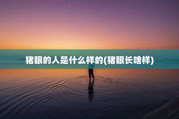 猪眼的人是什么样的(猪眼长啥样)