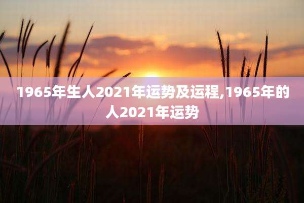 1965年生人2021年运势及运程,1965年的人2021年运势