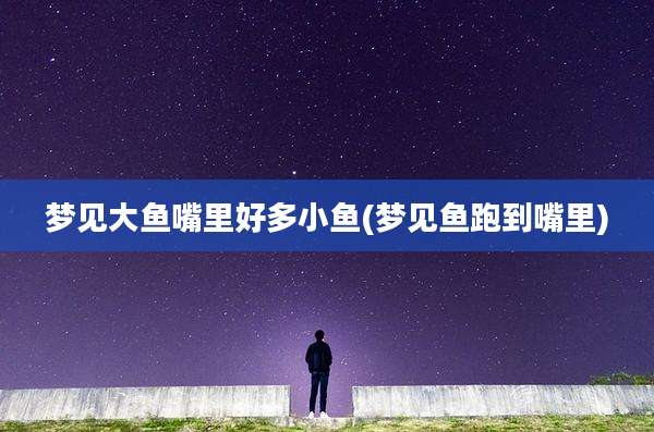 梦见大鱼嘴里好多小鱼(梦见鱼跑到嘴里)