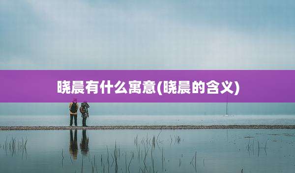 晓晨有什么寓意(晓晨的含义)