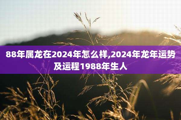 88年属龙在2024年怎么样,2024年龙年运势及运程1988年生人