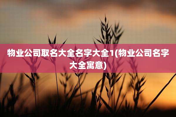 物业公司取名大全名字大全1(物业公司名字大全寓意)