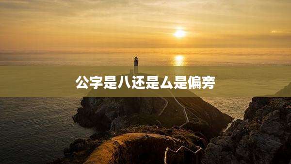 公字是八还是厶是偏旁