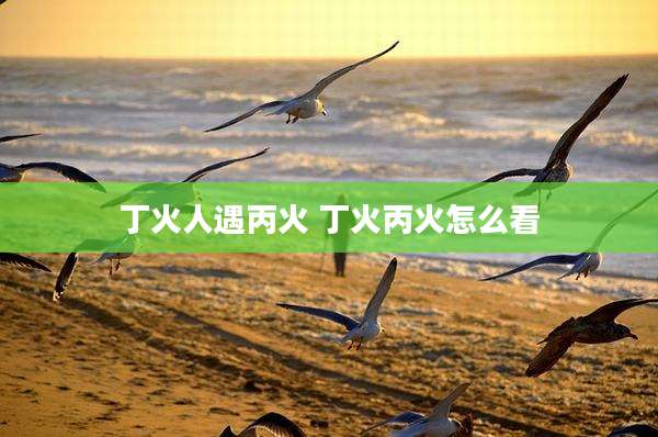丁火人遇丙火 丁火丙火怎么看