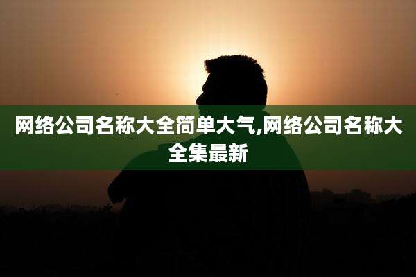 网络公司名称大全简单大气,网络公司名称大全集最新