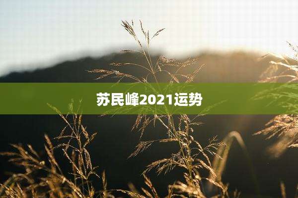 苏民峰2021运势