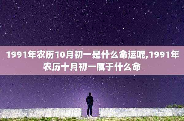 1991年农历10月初一是什么命运呢,1991年农历十月初一属于什么命