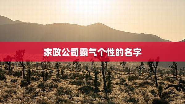 家政公司霸气个性的名字