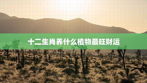 十二生肖养什么植物最旺财运