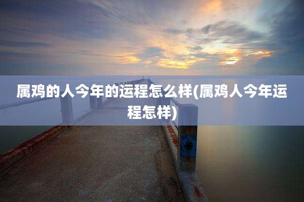 属鸡的人今年的运程怎么样(属鸡人今年运程怎样)
