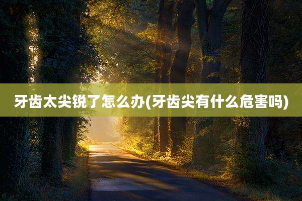 牙齿太尖锐了怎么办(牙齿尖有什么危害吗)