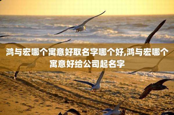 鸿与宏哪个寓意好取名字哪个好,鸿与宏哪个寓意好给公司起名字
