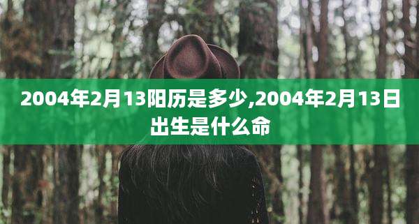 2004年2月13阳历是多少,2004年2月13日出生是什么命