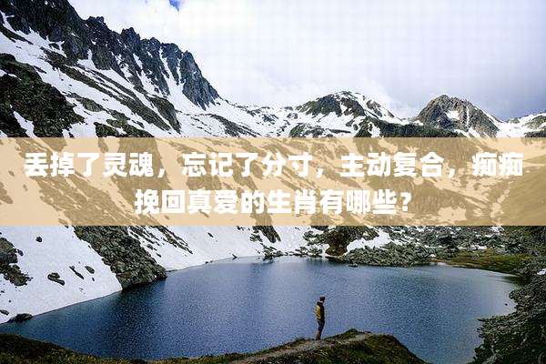 丢掉了灵魂，忘记了分寸，主动复合，痴痴挽回真爱的生肖有哪些？