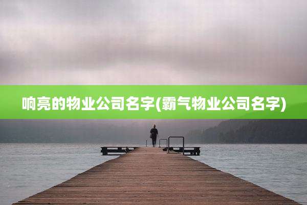 响亮的物业公司名字(霸气物业公司名字)